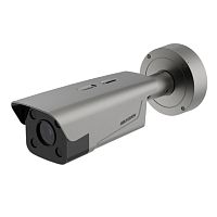 IP Камера, ANPR Hikvision DS-TCG406-E(S)(12V/PoE)(2812)