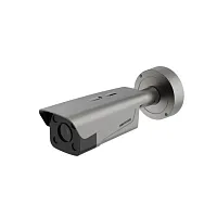 IP видеокамера Hikvision DS-TCG406-E(12V/PoE)(2812)