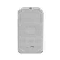 Hikvision DS-QAE0420G1-V Громкоговоритель