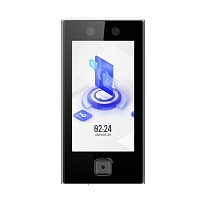 СКУД, Терминал